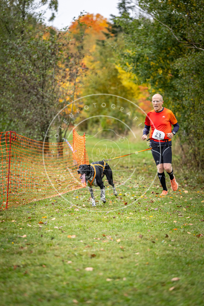 Pfotenfotografie_DV3A1962 | Hundefotografie, Tierfotograf, Pfotenfotografie, Fotoshooting Hund, Hunde Portrait, Hundesport, Hundeportraits, Heideshooting, Hunde, Sportfotograf, Hundefotograf, Turnierhundsport, THS,  - Realisiert mit Pictrs.com