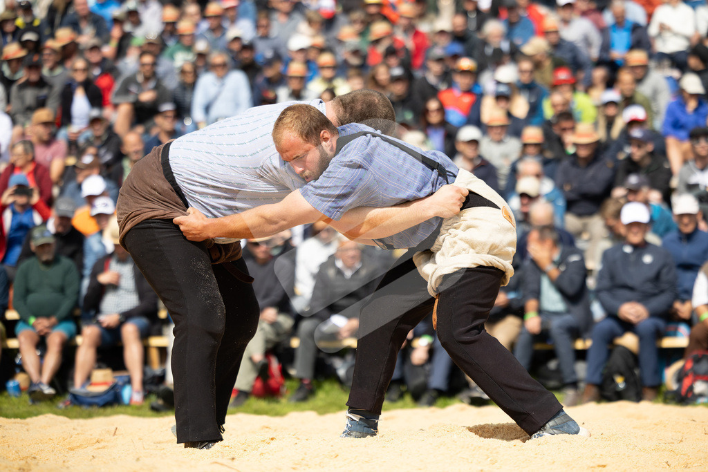 Rigi2025_0965 | Die Schwinger des Schwyzer Kantonalen Schwingerverbandes: Fotos, die Dynamik und Leidenschaft festhalten, sowie emotionale Momente aus dem traditionellen Schwingsport zeigen. - Realisiert mit Pictrs.com