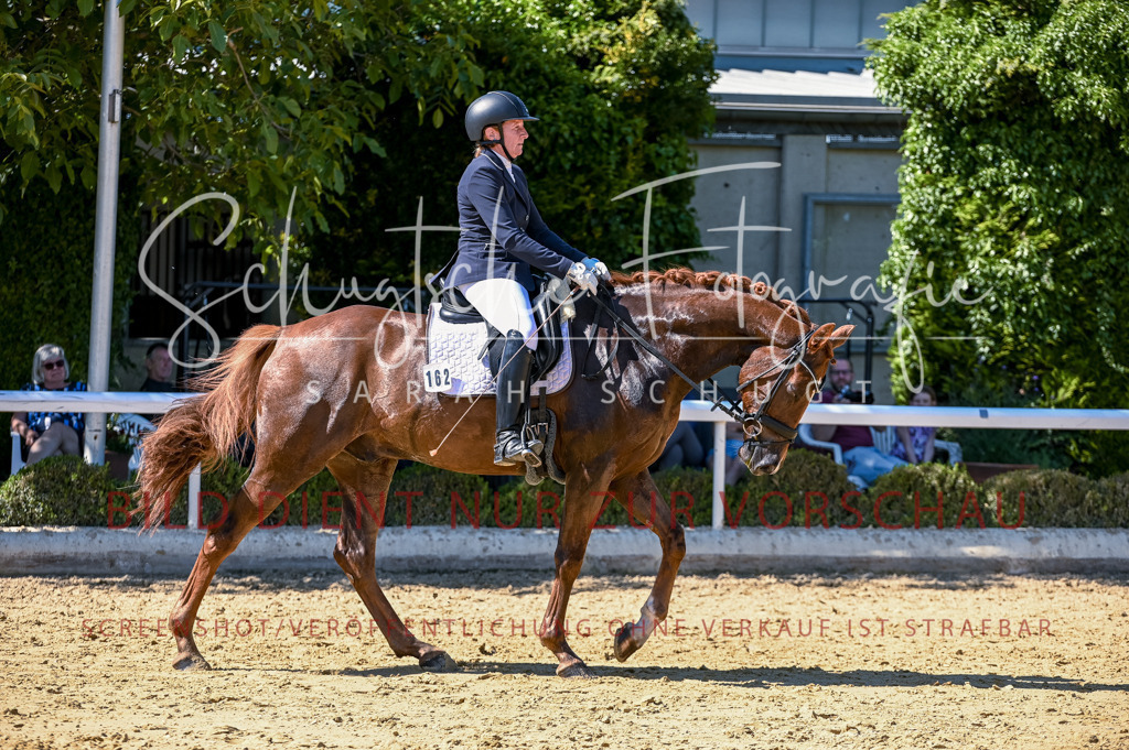 Schugtsche-Aluta25-50.Dressurpferdeprf.L-96 | Schugtsche Fotografie - Realisiert mit Pictrs.com