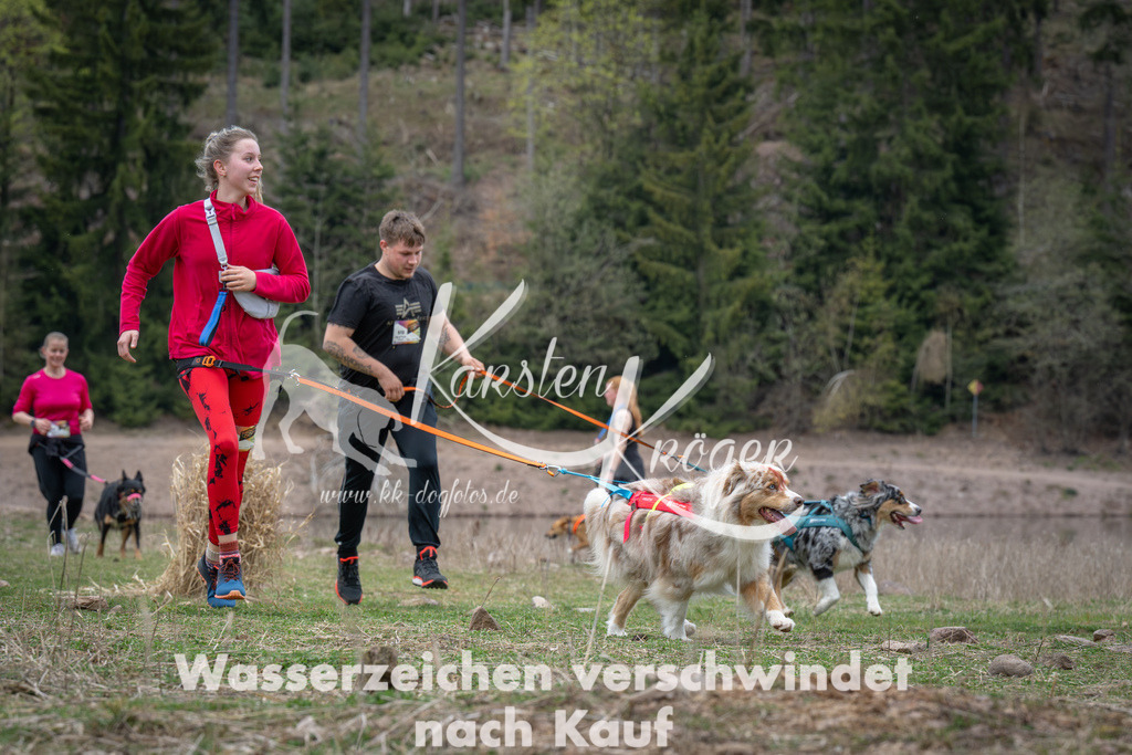 1837_ZZ99510 | kk-dogfotos