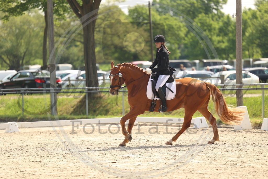 994A6676 | sabrinanicolaifotografie - Realisiert mit Pictrs.com