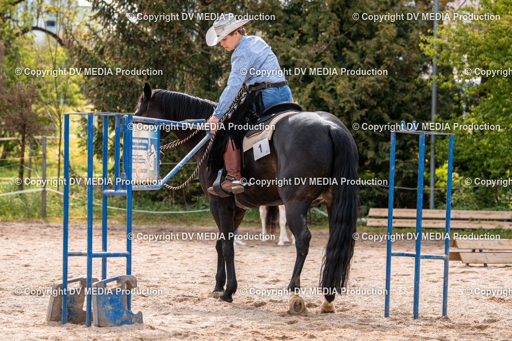 Balingen Tag 3-272 | dv-media-shop - Realisiert mit Pictrs.com