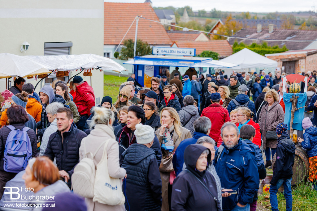 0025_B5_22681 | Foto Buchgraber