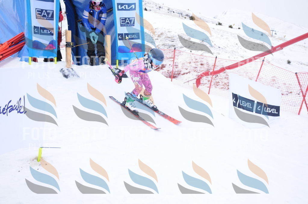 DSC_8205 | holidayphoto