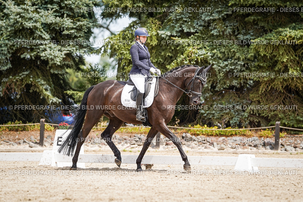 DSC03519 | Pferdegrafie