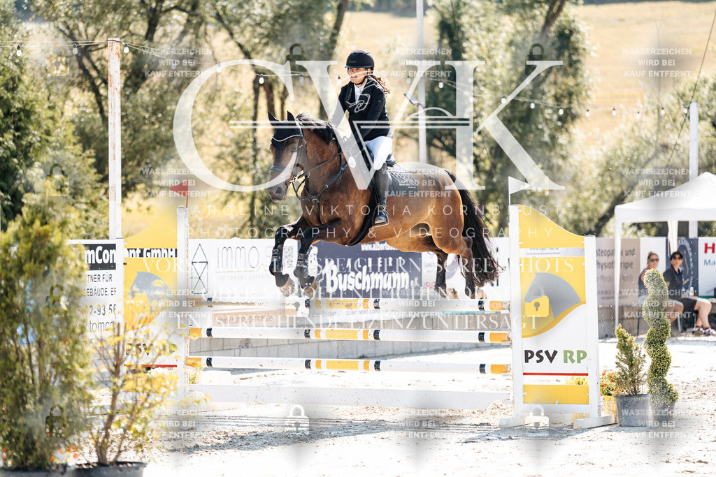 CK908281 | Turnierfotografie Pferdefotografie Trier Rheinland-Pfalz Pferdesport Reitsport Tierfotografie Sportfotografie Pferdevideo Pferdevideografie Equestrianvideography equestrianphotography  - Realisiert mit Pictrs.com