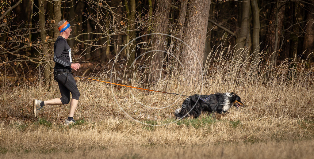 DV3A4009 | Hundefotografie, Tierfotograf, Pfotenfotografie, Fotoshooting Hund, Hunde Portrait, Hundesport, Hundeportraits, Heideshooting, Hunde, Sportfotograf, Hundefotograf, Turnierhundsport, THS,  - Realisiert mit Pictrs.com