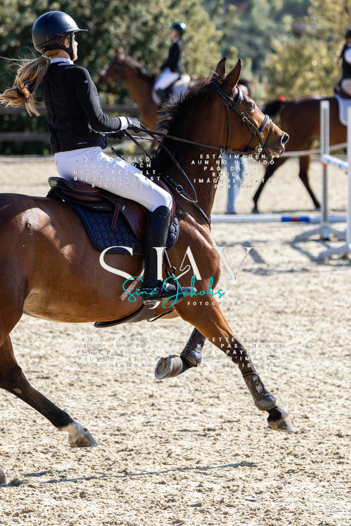 IMG_6407 | s-jay-photography - Realisiert mit Pictrs.com