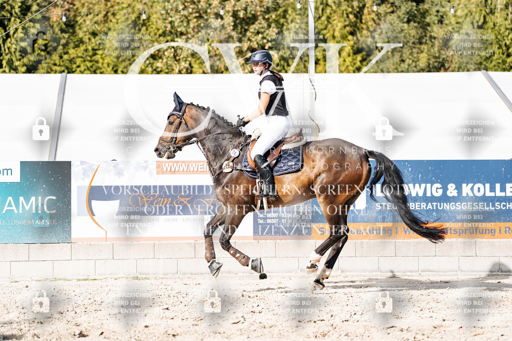 CK909385 | Turnierfotografie Pferdefotografie Trier Rheinland-Pfalz Pferdesport Reitsport Tierfotografie Sportfotografie Pferdevideo Pferdevideografie Equestrianvideography equestrianphotography  - Realisiert mit Pictrs.com