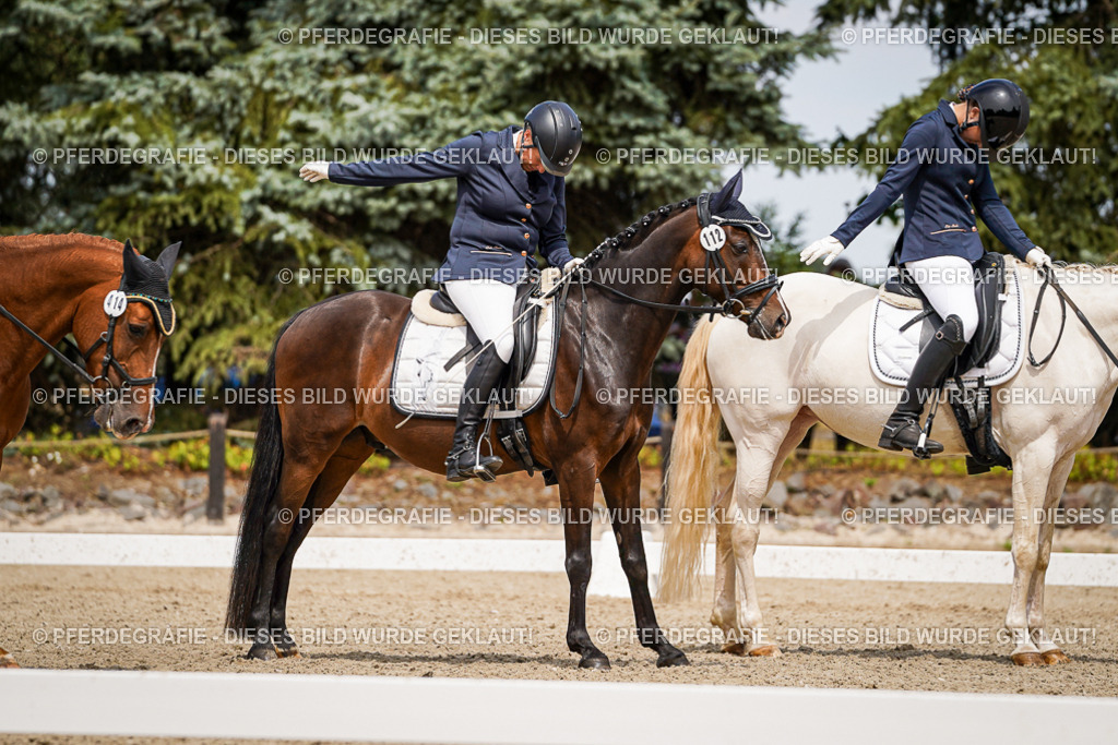 DSC04464 | Pferdegrafie