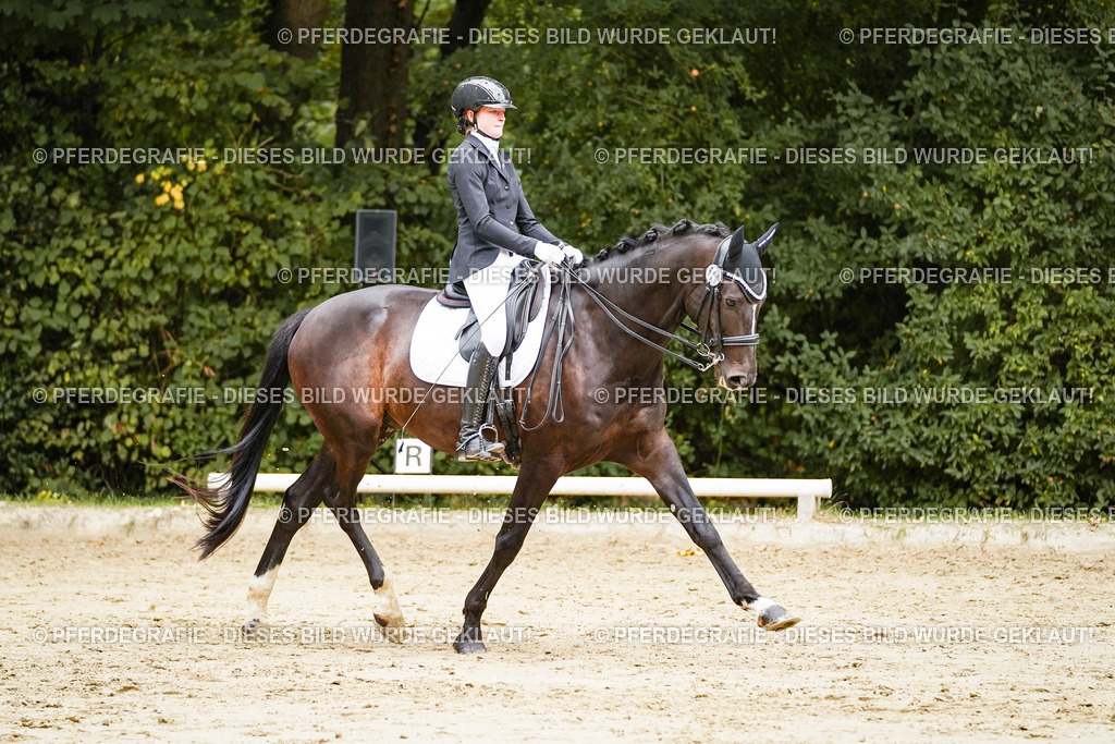 DSC03895 | Pferdegrafie