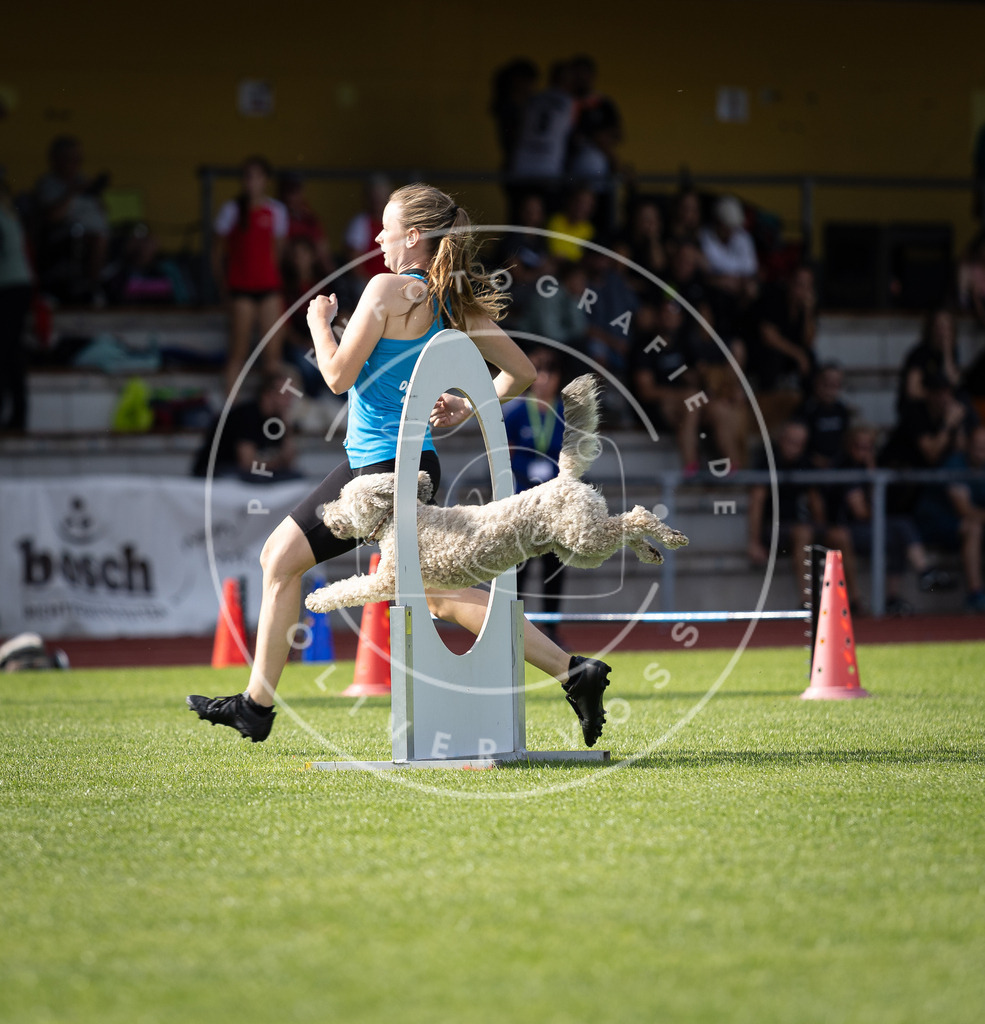 Pfotenfotografie_DV3A1343 | Hundefotografie, Tierfotograf, Pfotenfotografie, Fotoshooting Hund, Hunde Portrait, Hundesport, Hundeportraits, Heideshooting, Hunde, Sportfotograf, Hundefotograf, Turnierhundsport, THS,  - Realisiert mit Pictrs.com