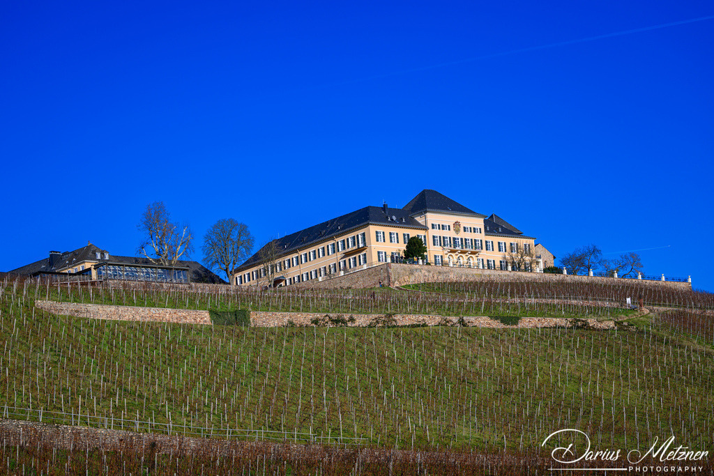 DSC_9154 | Fotografien, Fotos und Bilder aus Mainz, Frankfurt, Wiesbaden und anderen Orten auf der Welt - Fotografiert von Darius Metzner