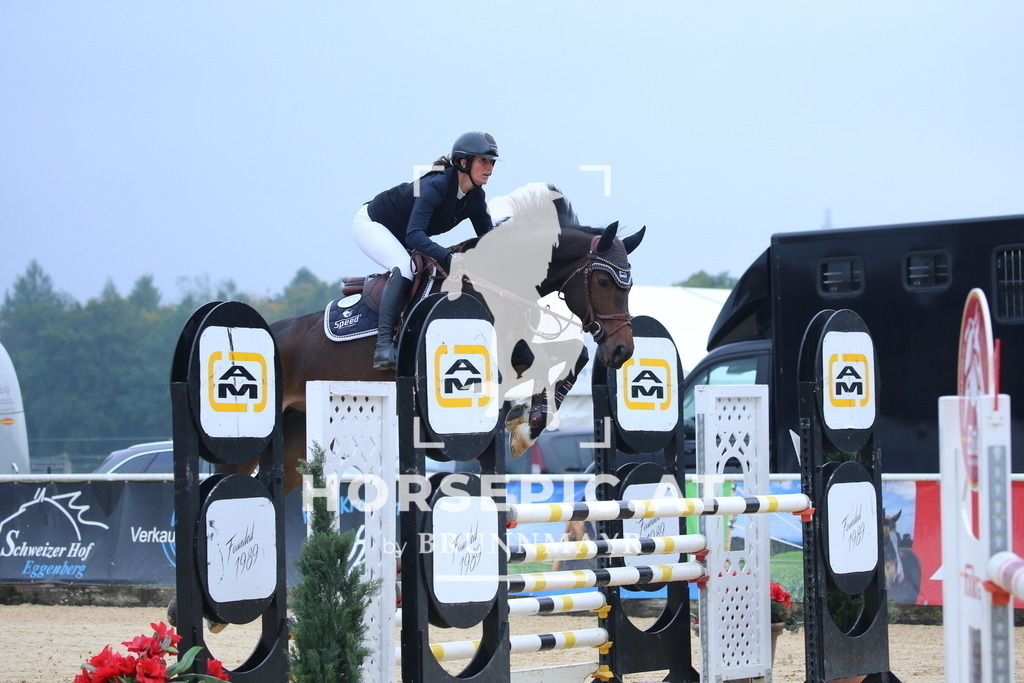 DL2Q0093 | Willkommen bei Brunnmayr - Design & Fotografie – Ihrem Spezialisten für Reitturniere und Pferdeveranstaltungen in Oberösterreich, Salzburg und Bayern! Seit über 17 Jahren sind wir leidenschaftlich dabei.