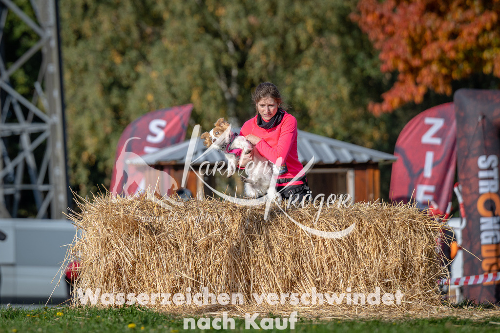 1028_ZZ90507 | kk-dogfotos
