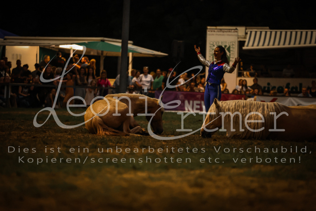 SaShow00287 | Leoni Ertmer Photography - Realisiert mit Pictrs.com