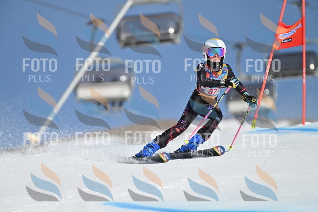 BGV_8283 | holidayphoto