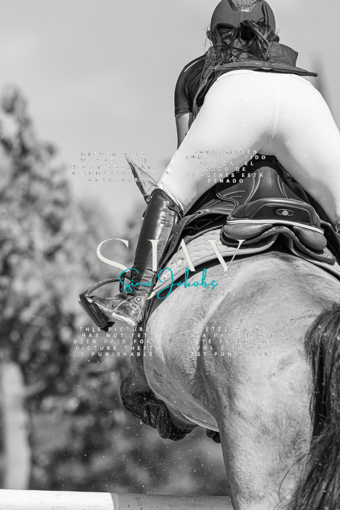 IMG_0840 | s-jay-photography - Realisiert mit Pictrs.com