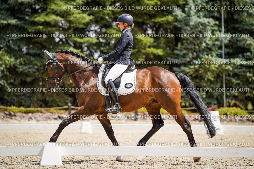 DSC01363 | Pferdegrafie