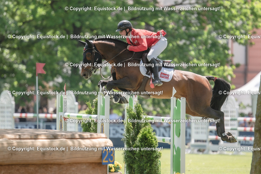 20230527_12_CSI4_Pfungstädter_0081 | equistock