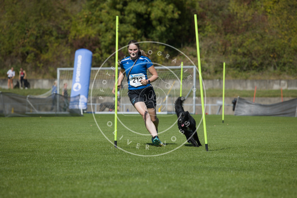 0L8A5869 | Hundefotografie, Tierfotograf, Pfotenfotografie, Fotoshooting Hund, Hunde Portrait, Hundesport, Hundeportraits, Heideshooting, Hunde, Sportfotograf, Hundefotograf, Turnierhundsport, THS,  - Realisiert mit Pictrs.com