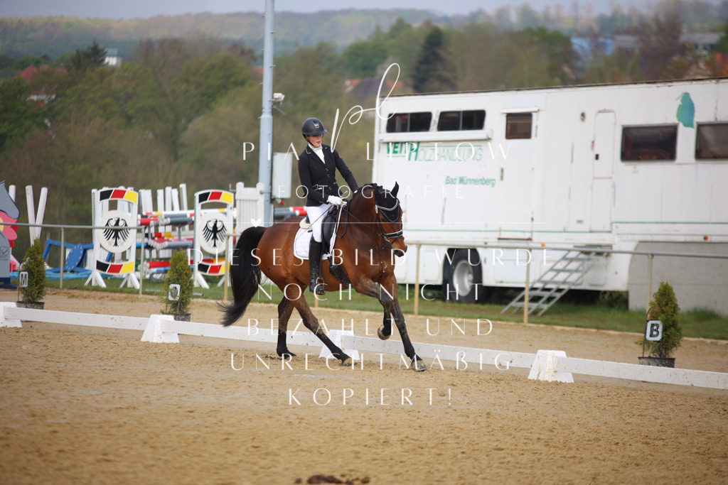 IMGT8236 | pl-fotografie