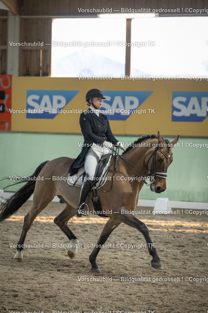 _D5A0919 | Emotionale Pferde- & People-Fotografie rund um Heidelberg, Leimen & Umgebung. Natürliche Fotos von Pferd, Mensch & Familie. Jetzt Termin sichern!