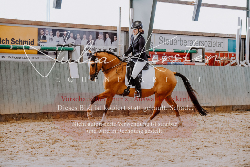 DSC_7621 | Pferde- und Turnierfotografie in Westsachsen. Pferdeportraits, Auftragszeichnungen und intuitive Kunst.