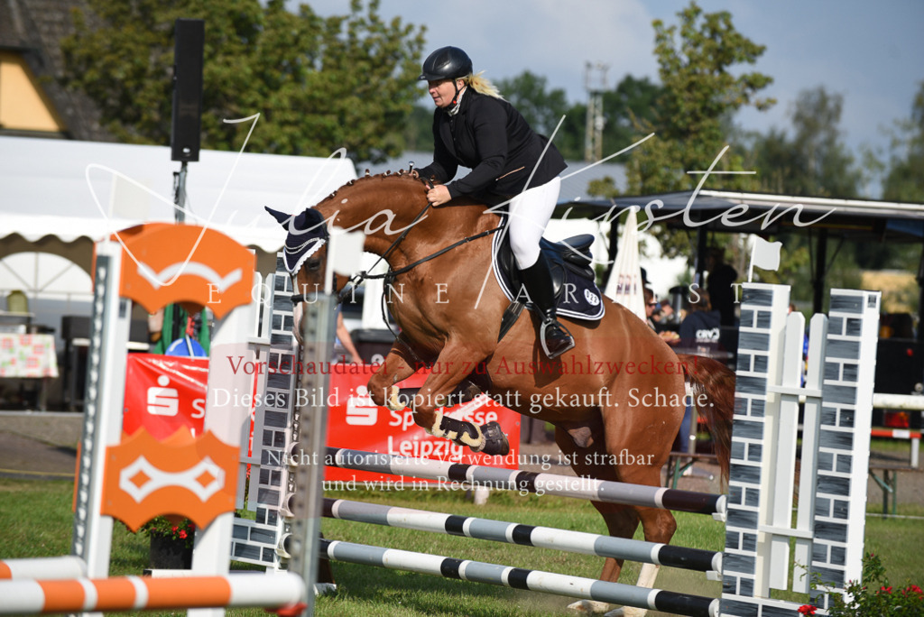 DSC_8707 | Pferde- und Turnierfotografie in Westsachsen. Pferdeportraits, Auftragszeichnungen und intuitive Kunst.