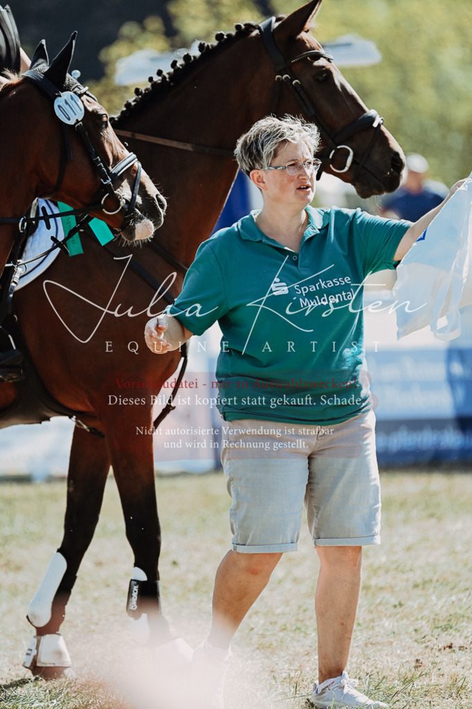 DSC_8434 | Pferde- und Turnierfotografie in Westsachsen. Pferdeportraits, Auftragszeichnungen und intuitive Kunst.
