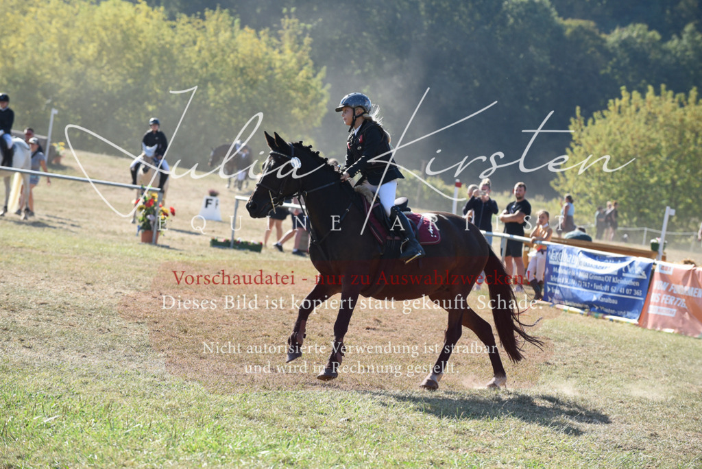 DSC_5844 | Pferde- und Turnierfotografie in Westsachsen. Pferdeportraits, Auftragszeichnungen und intuitive Kunst.