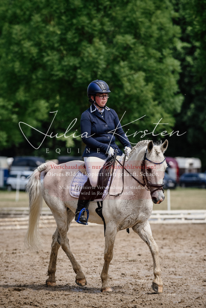 DSC_1821 | Pferde- und Turnierfotografie in Westsachsen. Pferdeportraits, Auftragszeichnungen und intuitive Kunst.
