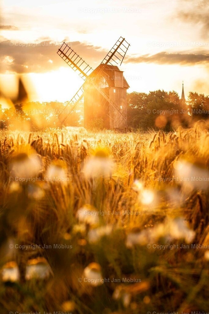 _M5D3945-2 | Leipzig Wandbilder Drucke Prints Leinwand Stadtmotive Leipzig Fotosdruck Kunstdrucke Bilder Leipzig Stadtansichten Acrylglasbilder Leipzig Wanddeko Fine Art Prints Wandbilder Büro Leipzig Bilder Praxis Zuhause Bilderdruck Poster Posterlounge Kunstdrucke - Realisiert mit Pictrs.com