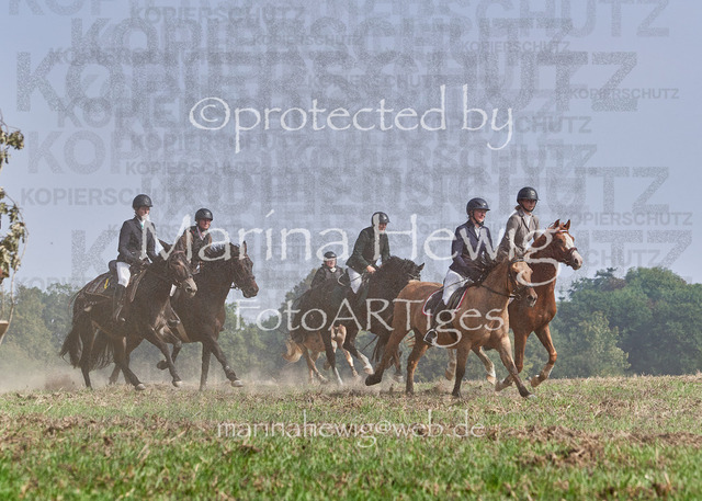 09-23 Jagd Perdöl_MCH0086_Marina Hewig | Fotografie, FotoArt, PferdesportArt, Pferdesportfotografie, Landschaftsfotografie, Reisefotografie, Reise, Pferde - Realisiert mit Pictrs.com