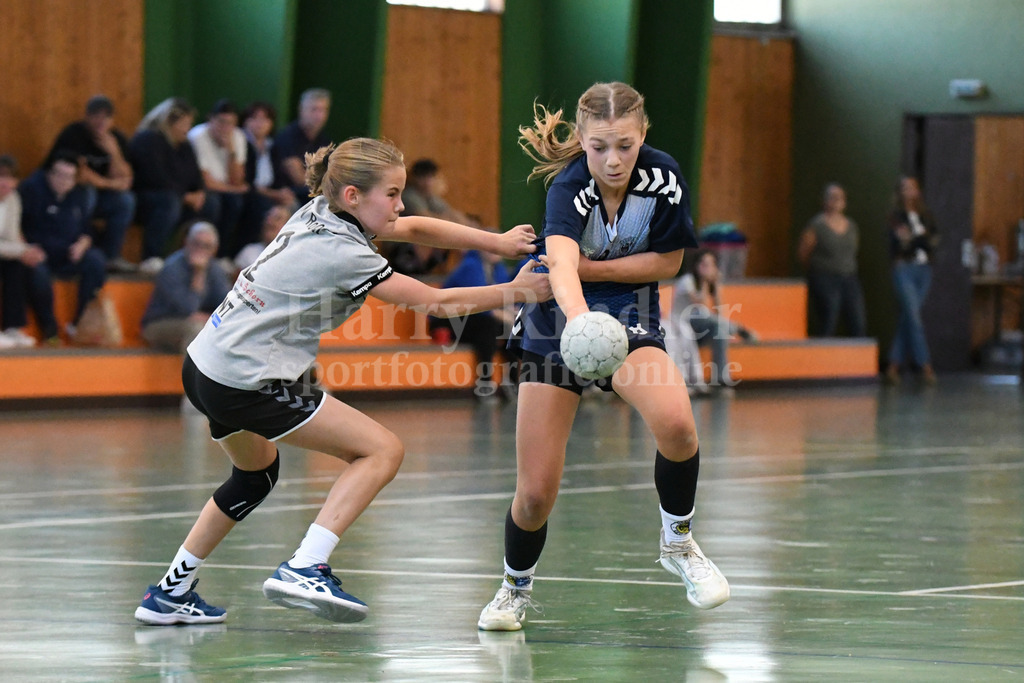 SSG Metten Handball Nachwuchs | SSG Metten weibliche C-Jugend im Spiel gegen den   TSV Roßtal - Realisiert mit Pictrs.com