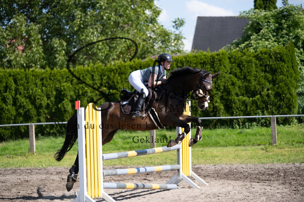 A7V03498 | Pferdefotograf