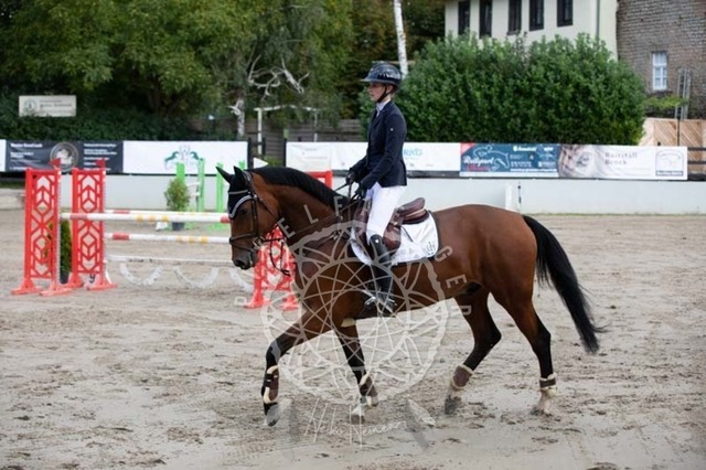 2B4A3556 | pixelfaenger - Realisiert mit Pictrs.com