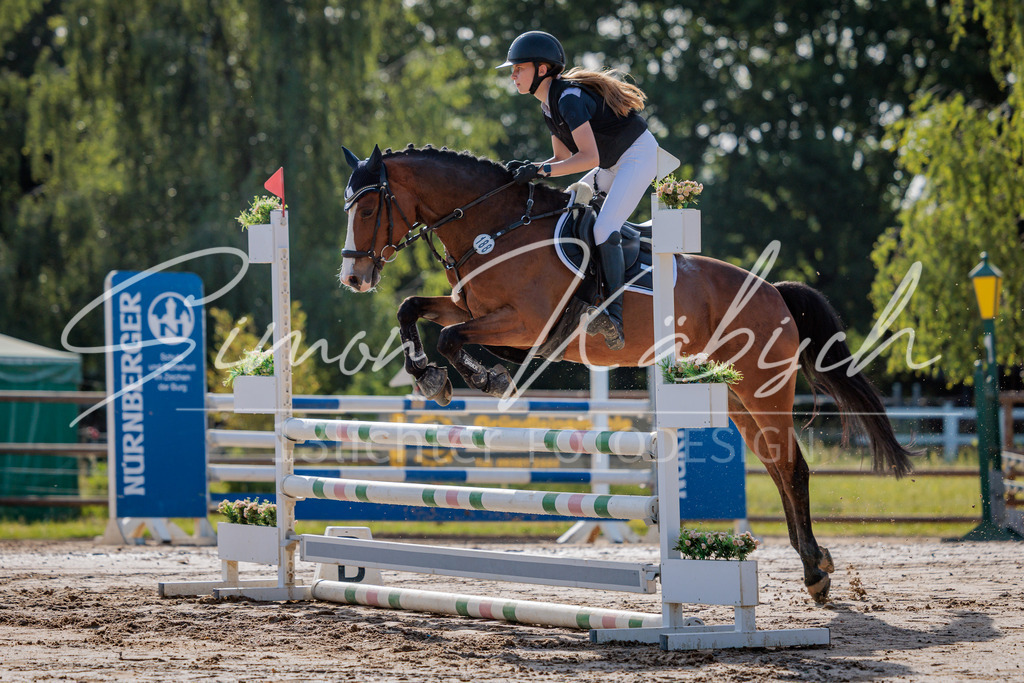 20260529-_3LI0058 | Tierfotografie Pferde, Hunde, Katzen, Haustiere.
Turnierfotografie Reitturniere, Reiten, Springreiten, Dressur in Hanau, dem Main-Kinzig-Kreis und dem Rhein-Main- Gebiet um Frankfurt