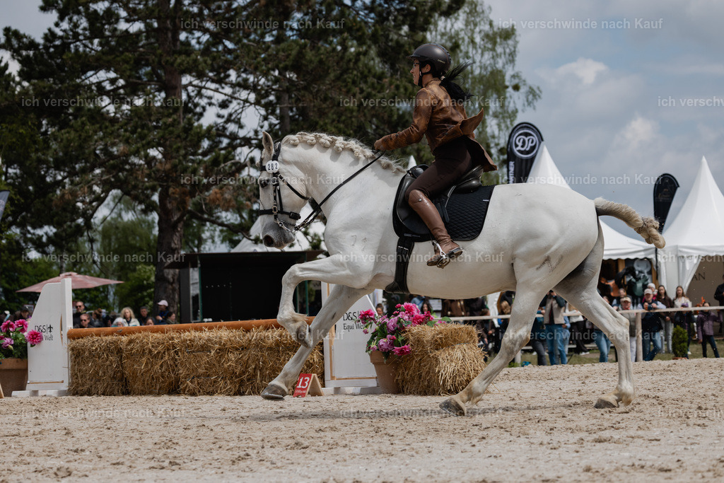 PI26_SP_StoibphotographyC2_C1516.jpg | working equitationturnier fotograf videograf stoibphotography marixx film working equitation deutschland reitsport turnierfotografie eventfotografie equestrian events