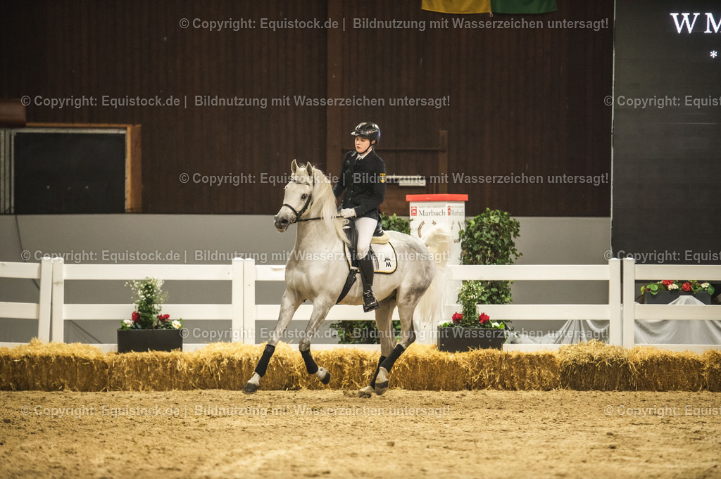 20240302_Hengstvorstellung_Marbach_TOMsPiC_1007 | equistock
