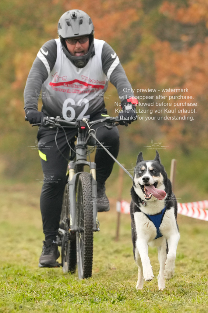 AusschnitteSa-114 | stephaniefillaphotographie - Realisiert mit Pictrs.com