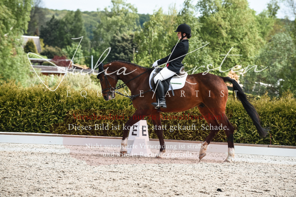 20230518_JK-Röhrsdorf-11-0438 | Pferde- und Turnierfotografie in Westsachsen. Pferdeportraits, Auftragszeichnungen und intuitive Kunst.