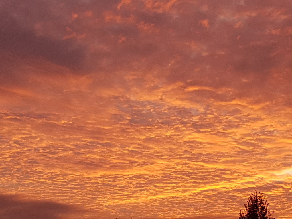 20191005_190614 | klausulrichmoeller