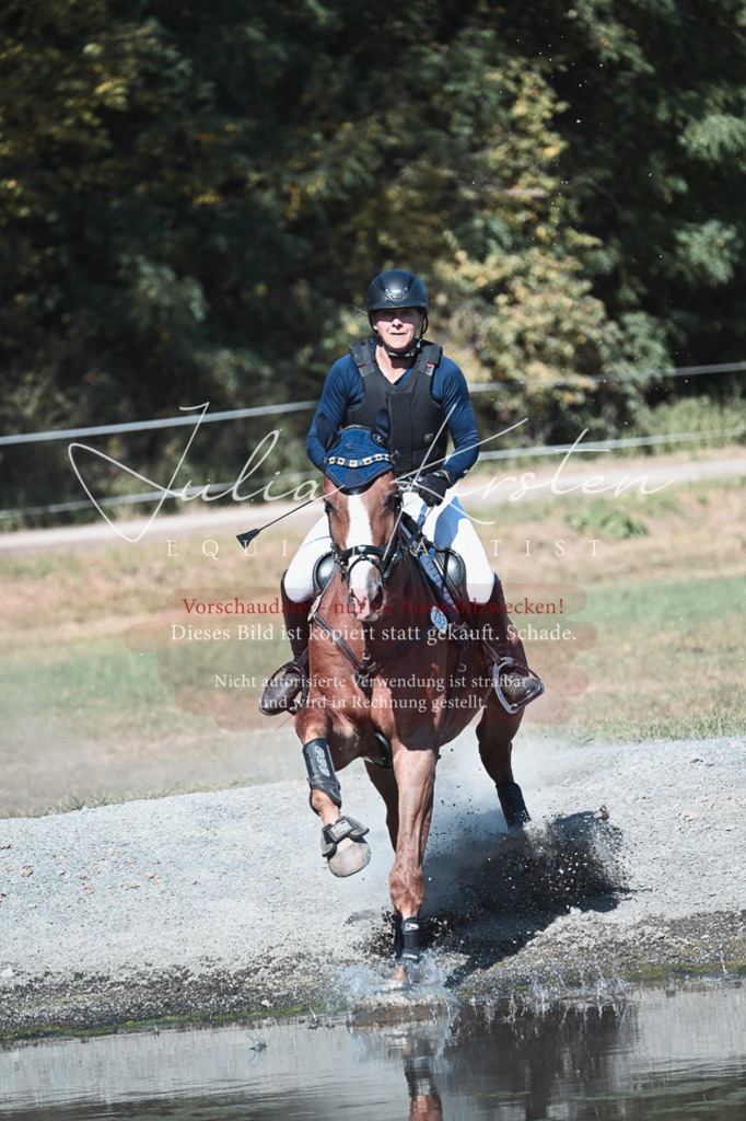 DSC_8616 | Pferde- und Turnierfotografie in Westsachsen. Pferdeportraits, Auftragszeichnungen und intuitive Kunst.