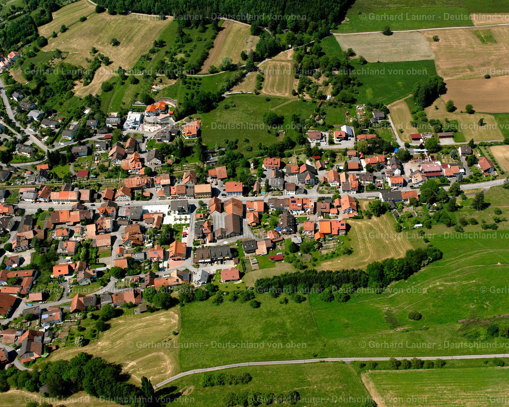 2530113 | Dangstetten