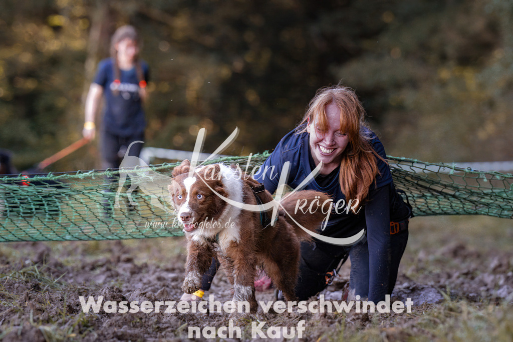 1056_ZZ93319-Bearbeitet | kk-dogfotos