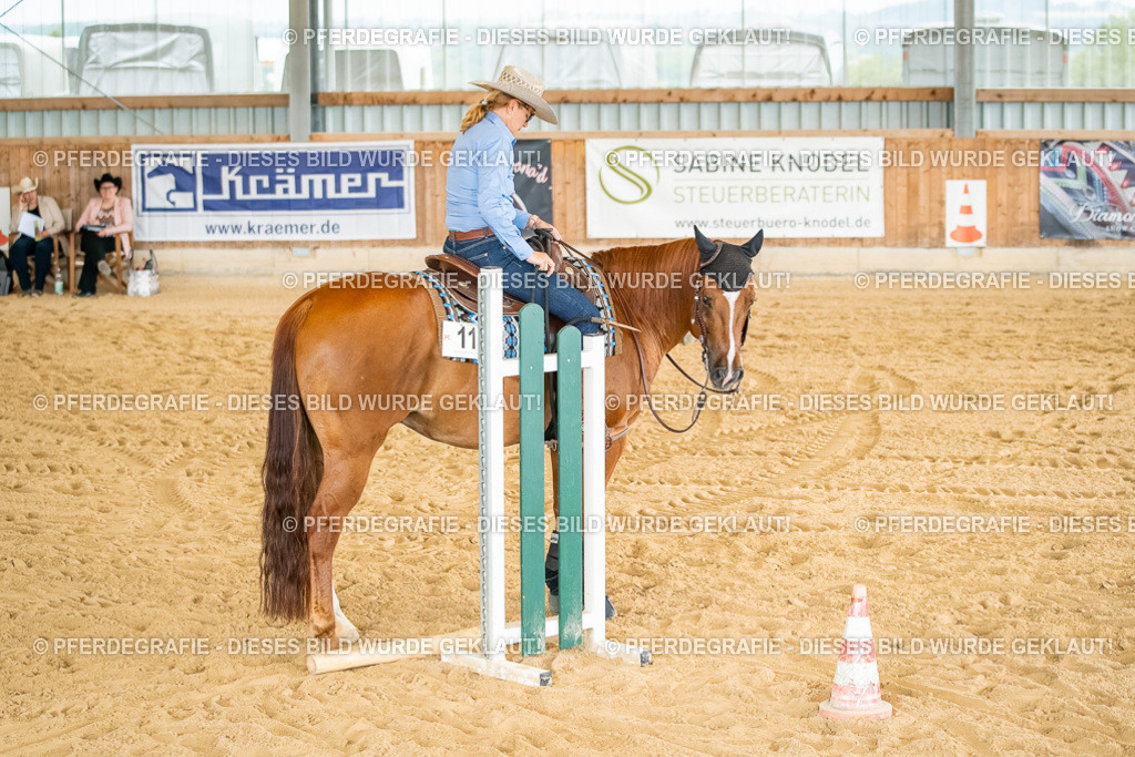 DSC07470 | Pferdegrafie