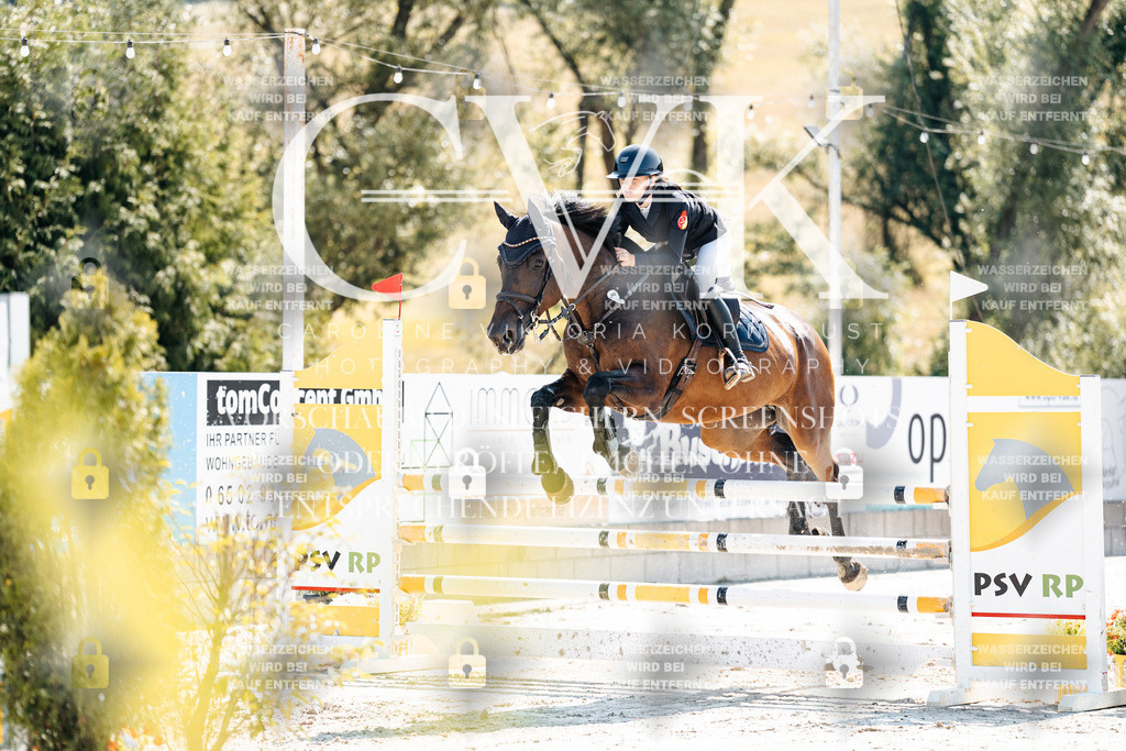 CK908529 | Turnierfotografie Pferdefotografie Trier Rheinland-Pfalz Pferdesport Reitsport Tierfotografie Sportfotografie Pferdevideo Pferdevideografie Equestrianvideography equestrianphotography  - Realisiert mit Pictrs.com