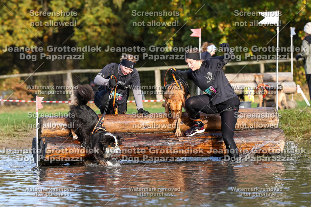 Dog Paparazzi - Strongdog 10-25-8406 | Dog Paparazzi Jeanette Grottendiek Fotografie & Videografie