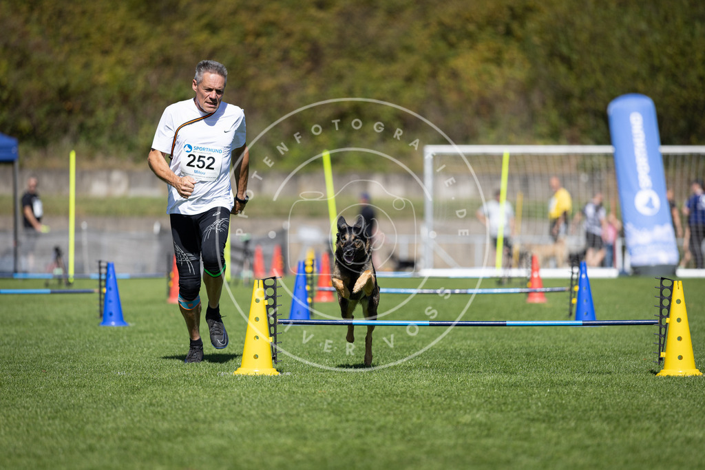 Pfotenfotografie_DV3A6259 | Hundefotografie, Tierfotograf, Pfotenfotografie, Fotoshooting Hund, Hunde Portrait, Hundesport, Hundeportraits, Heideshooting, Hunde, Sportfotograf, Hundefotograf, Turnierhundsport, THS,  - Realisiert mit Pictrs.com